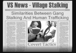 VS News - Village Stalking